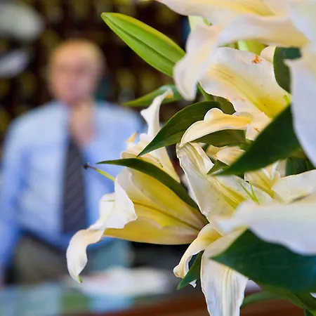 호텔 유니버소 3*